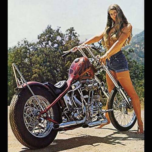 Harley girls are planning to find a man whois a Harley enthusiast. To achieve their dreams, they sta