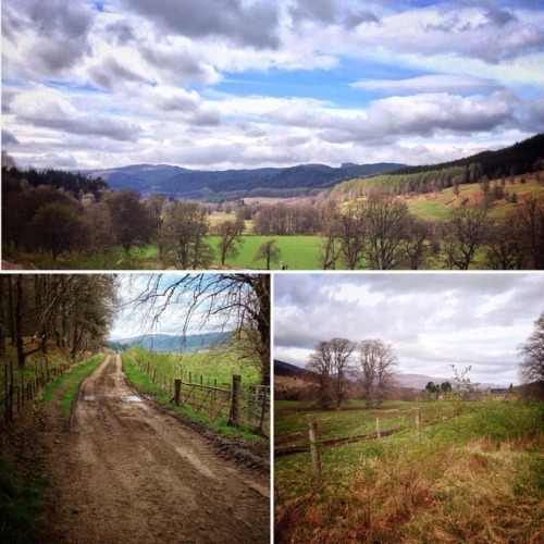 Today&rsquo;s little walk. Easy like Sunday morning ☺️ #lovewhereilive #tomich #glenaffric #strathgl