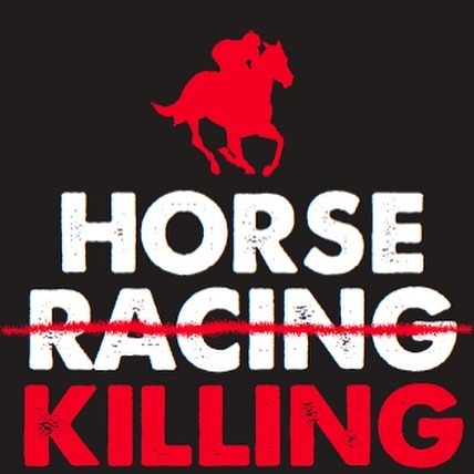 With all of the information we have on the horror that is horse racing, you’re still supporting this