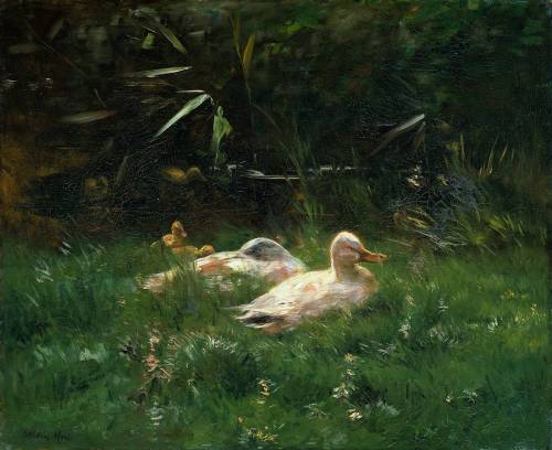 Ducks, Willem Maris, between 1880 and 1904