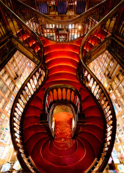 fabforgottennobility:  Livraria Lello by AndyMumford  Lello bookshop in Porto was voted one of the most beautiful bookshops in the world.  It’s a tiny place with beautifully carved ceilings and shelves and this amazingly graceful gothic staircase,