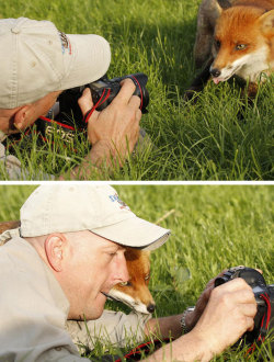 awesome-picz:     Reasons Why Being A Nature Photographer Is The Best Job In The World. 