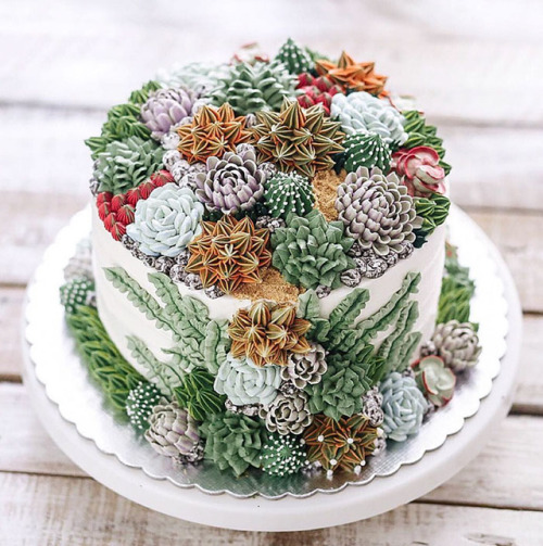 taigas-den: carrioncoyote: bibidebabideboo: (Succulent Cakes By Ivenoven Will Make Every Succulent L