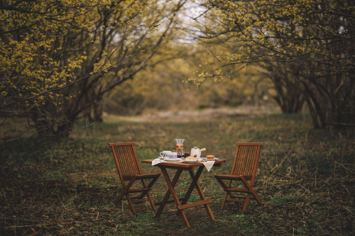 2022-03-20Spring, Cornus officinalisCanon EOS R3 + RF50mm f1.2LInstagram  |  hwantastic79vivid