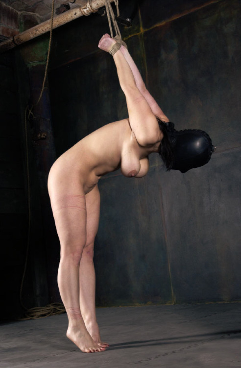 https://extreme-bondage.tumblr.com/post/132734004842