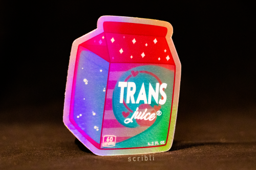 LGBT+ Holographic Stickers  shop | insta | fb