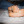 feet-smeller:lolaskinks:Goodnight, my feet are off to bed Sweet smelling teens feet