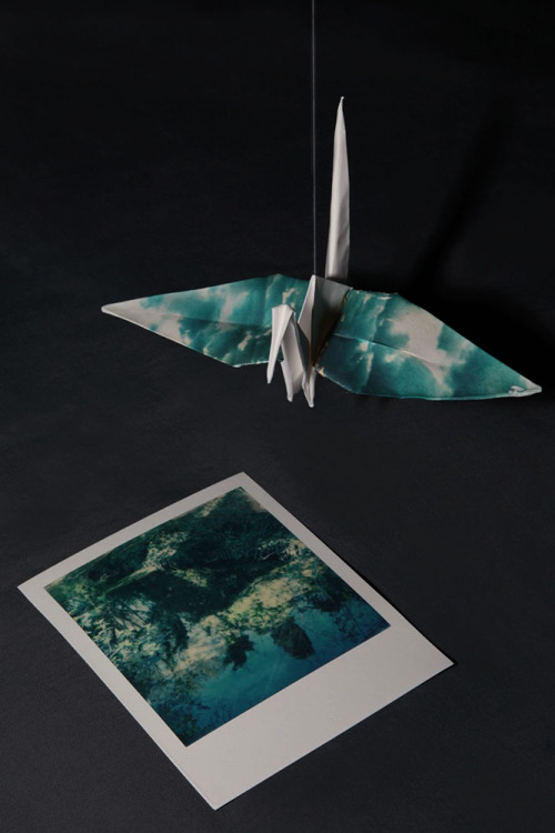 The Origami Project I and IIA series of origami covered by polaroid enulsion lifts. Polaroids made w