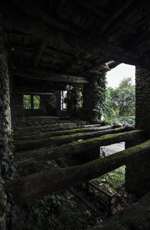 One year later. Abandoned barn in Feltre By Mary896. http://flic.kr/p/MEzWtF