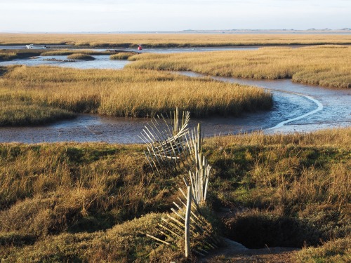 Norfolk.A walk from Wiveton Downs to Wiveton, on to Cley then Blakeney.December 2020