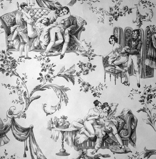 apartmenttherapy:  Top Erotic Wallpapers: Toile de Joui, Sarah Jane Palmer &amp;