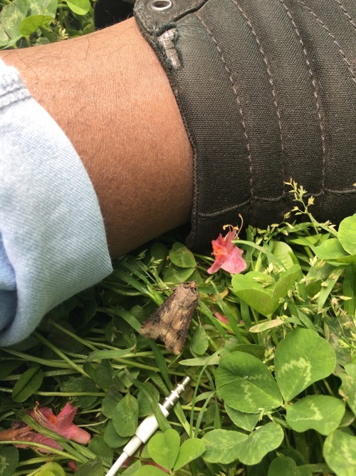 I made a friend in the grass They were just as tired as I was so we sat and drank water until it wa