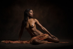 Ebony Collection