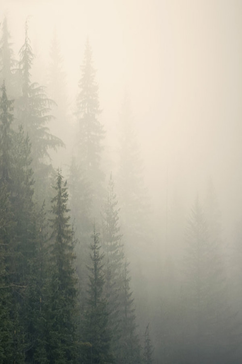 vintage & nature   