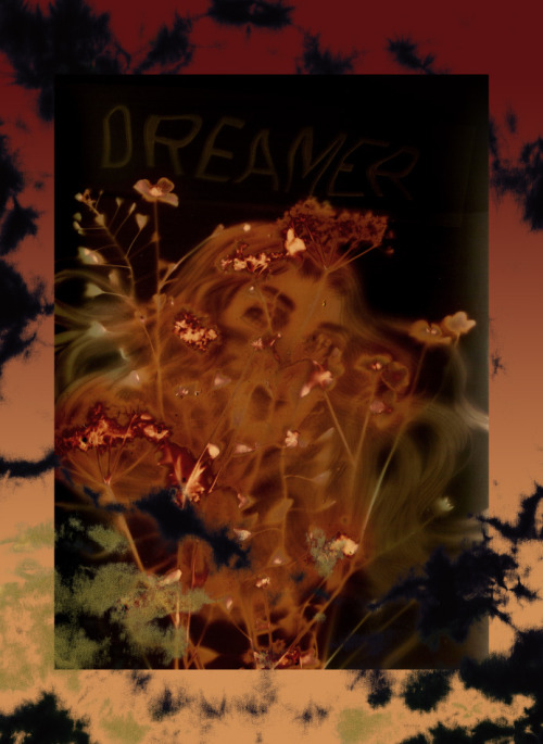 Dreamer