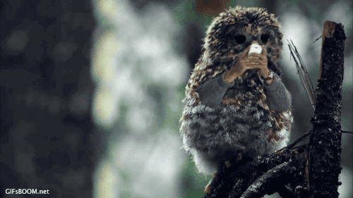 colonelcheru:  tastefullyoffensive:  Video: Birds with Arms (ASUS Commercial)  I’M