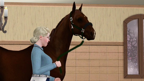Rosie And Silverbell Are About To Have The Foals Soon Riders Are Staying At The Stables For The Night