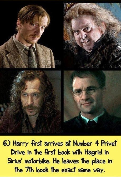 nrgcub:  priaposts:  Harry potter facts.   ipatback thought you’d like this