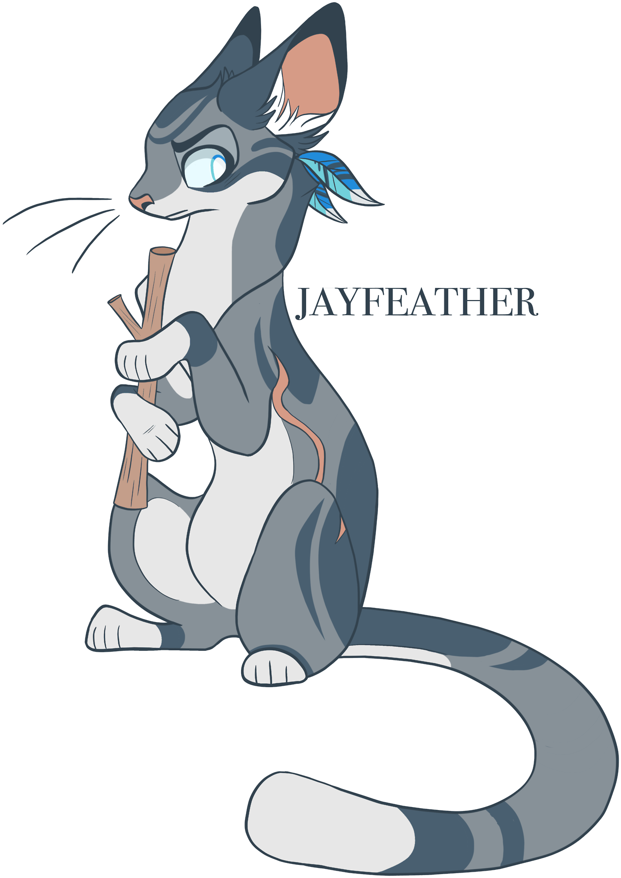 Jayfeather  Warrior Cats