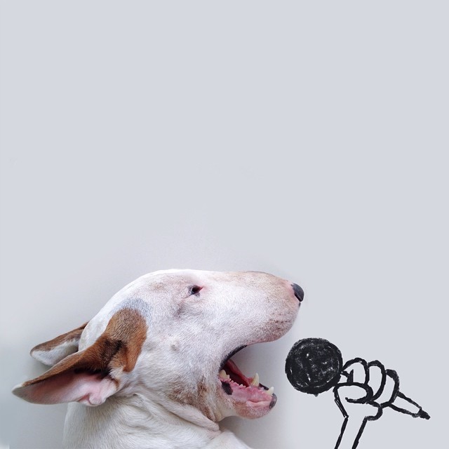 the-awesome-quotes:  My Wife Left Me With Nothing But A Dog, So I Started This Fun
