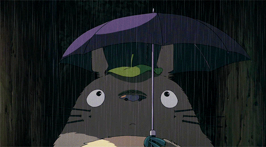 Black Lives Matter Daily Ghibli My Neighbor Totoro となりのトトロ