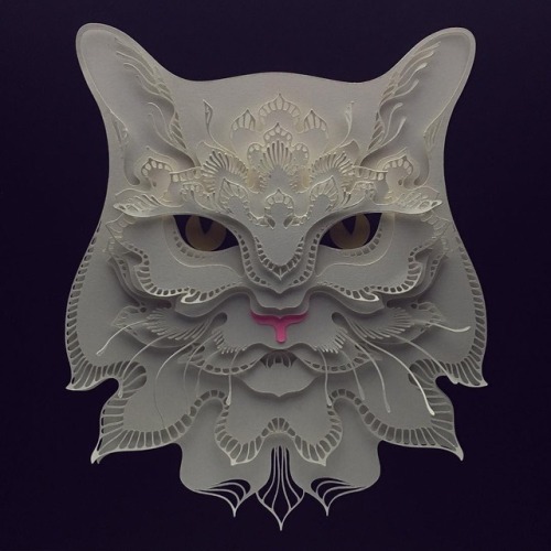 theartofanimation:  Patrick Cabral   -  https://dribbble.com/darkgravity  -  https://www.facebook.com/DarkgravityOfficial  -  https://www.instagram.com/darkgravity/?hl=es  -  https://society6.com/darkgravity  -  https://www.pinterest.es/darkgravity