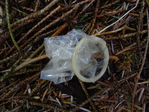 throwncondom:  Autoroute Liège-Namur, parking près de fernelmont, bois de sapin ½, avril 2015.  Le parking est très grand et il y a trois places de baise pour les mecs… En face des wc publics, un trou dans le grillage donne accès à un petit bois