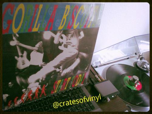 Listening to: Gorilla Biscuits - Start Today | Revelation: 12 (original first press) | #vinyloftheday #onmyturntable #hardcore 