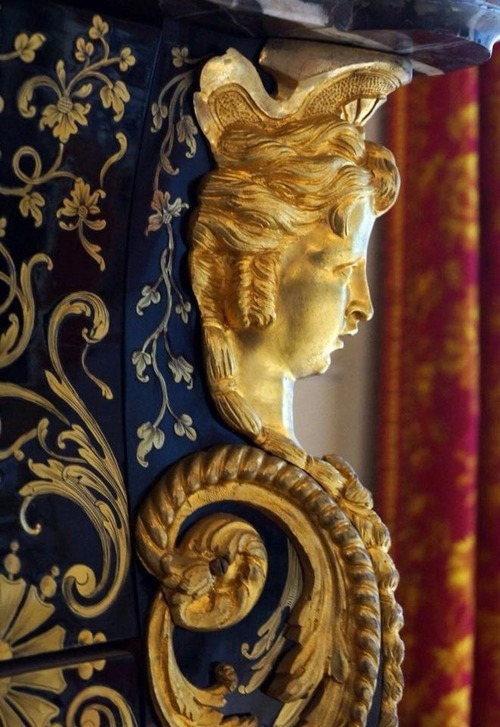 virurso773:Via vivrearia