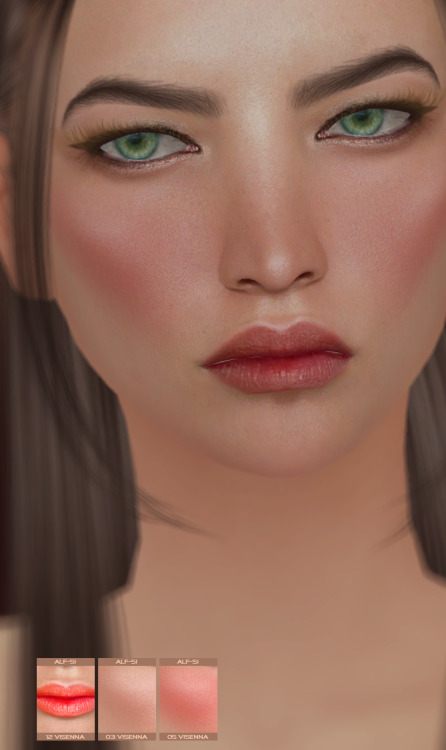 TS4 makeup set Visenna HQteen + ;45 colors of lips;45 colors of blush;12 colors of face shine x 5 op