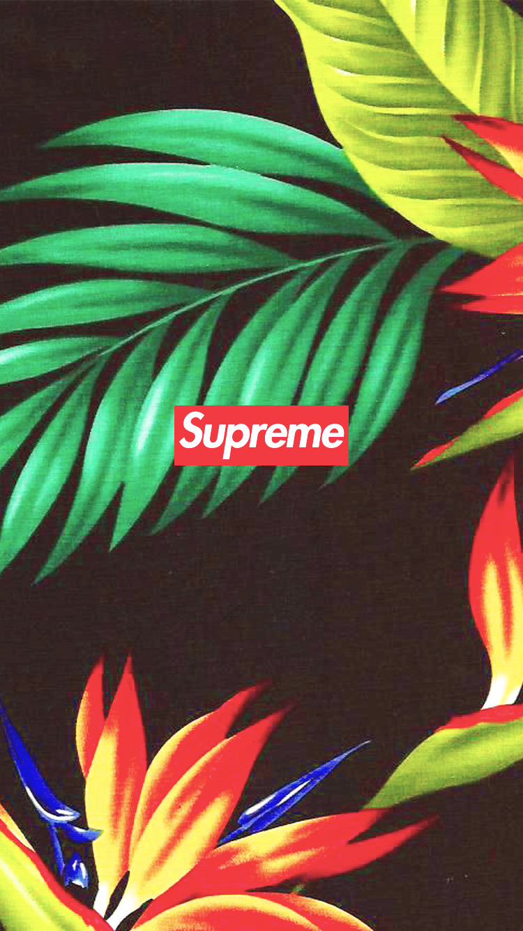supreme yeezy tumblr