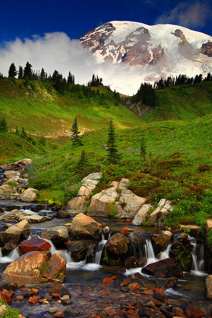 Edith Creek and Mt Rainier Mt Rainier National Park Washington by Randall J Hodges Photography on Fl
