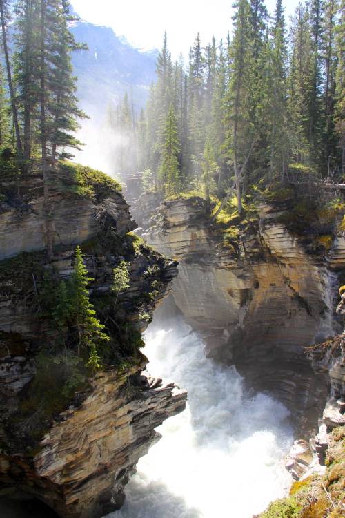 optic-arousal - asper National Park In Alberta, Canada