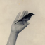 utilgitt