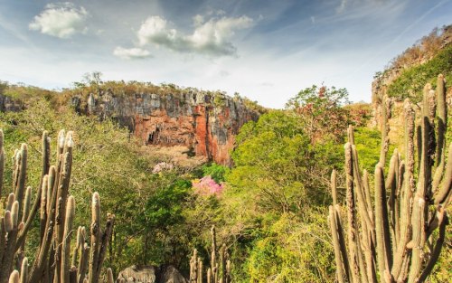 brazilwonders:  Parque Nacional Cavernas do Peruaçu - Minas Gerais (by Tom Alves)