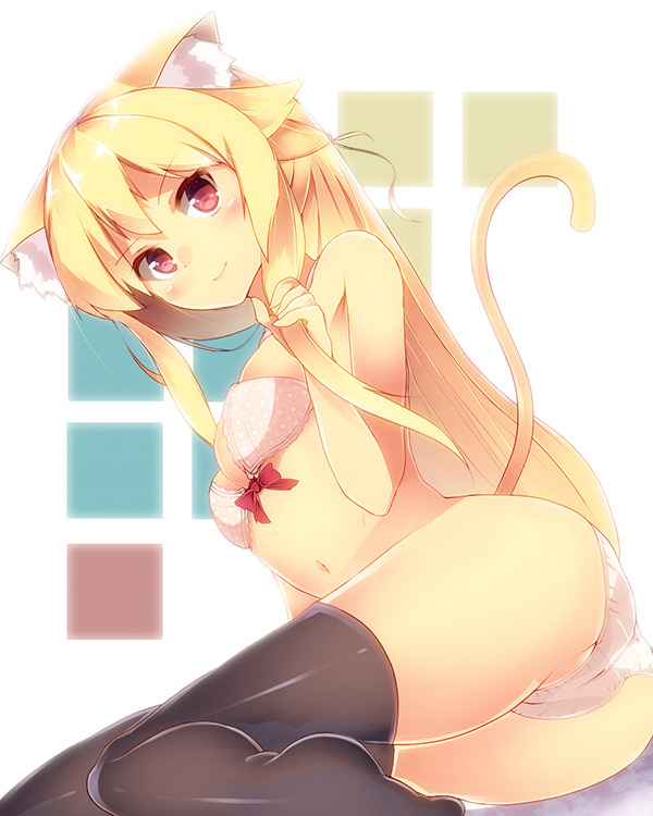 azunyann:  ~doko demo neko~