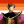 lesbianfirebender-deactivated20:ZuZu Siwa