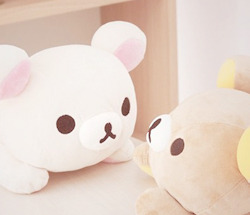 cinnahearts:  rilakkuma plushes ~ | 1 2 3