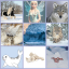skyethewinterprincess