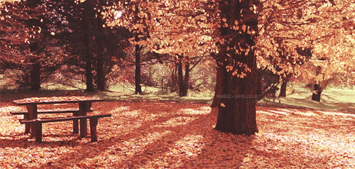 pretty-gifs:  credit: video by Michael Fletcher (x) | gif by magic-spelldust / PG