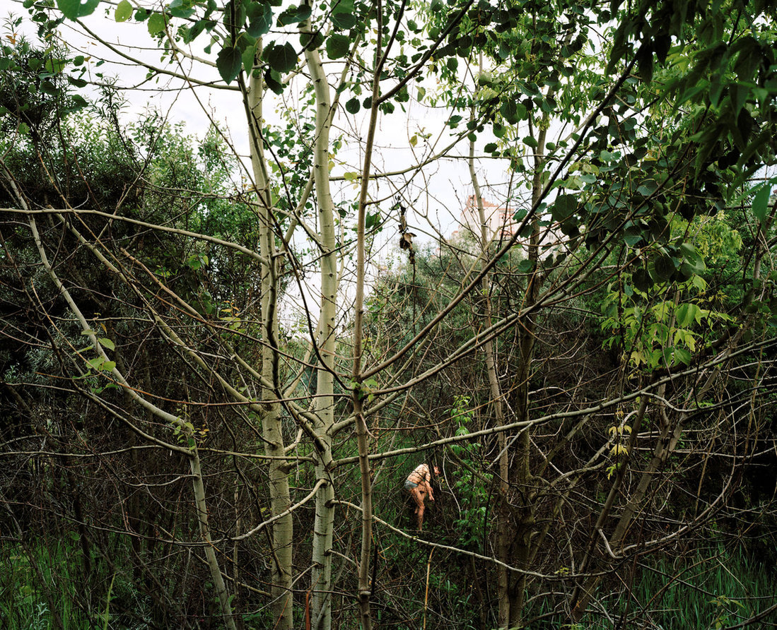 untrustyou:  Alexander Gronsky