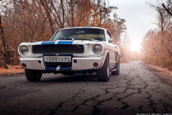 ford-mustang-generation:  Ford Mustang Shelby