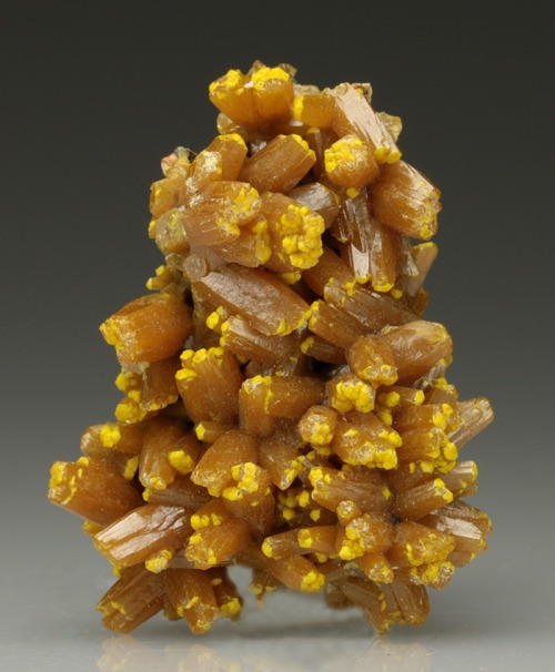 Pyromorphite - Les Farges Mine, Ussel, Limousin, France