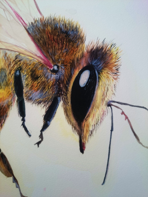 Happy little bee, original painting details. &lt;3