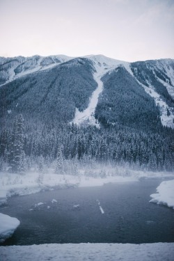 teapalm:  (Tasha Marie) | Kootenay National Park 