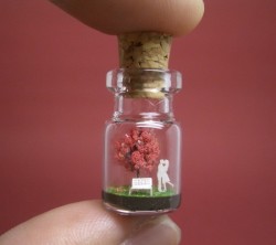 mayahan:  Tiny World in a Bottle: Miniatures