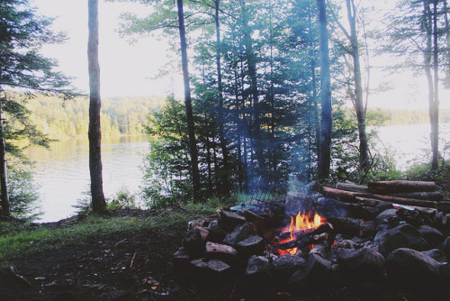 shyowl:eartheld:mostly naturehippie vibes ❁