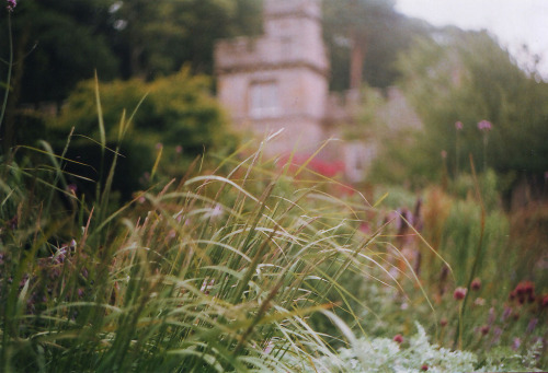 by  Sarah Longworth
