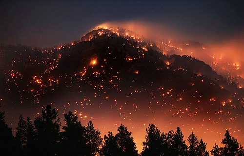 the-shrine:  this is terrifying and beautiful at the same time.. 