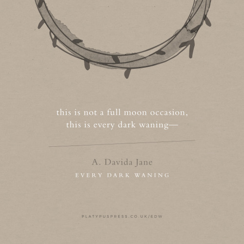 platypus-press:Every Dark Waning by A. Davida Jane (@adavidajane) is out now!You can purchase the bo